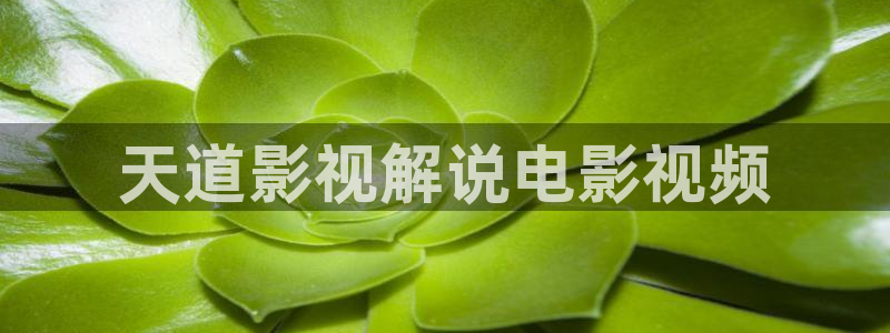 星辰大海影视