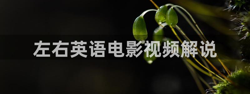 星辰影院.