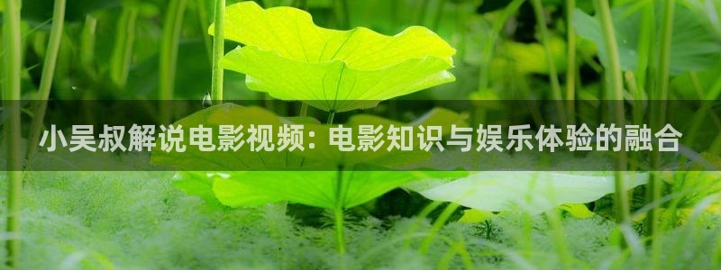 电视剧大决战星辰影视