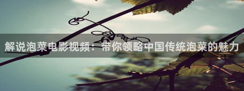 星辰影院2025年最新电视剧免费观看