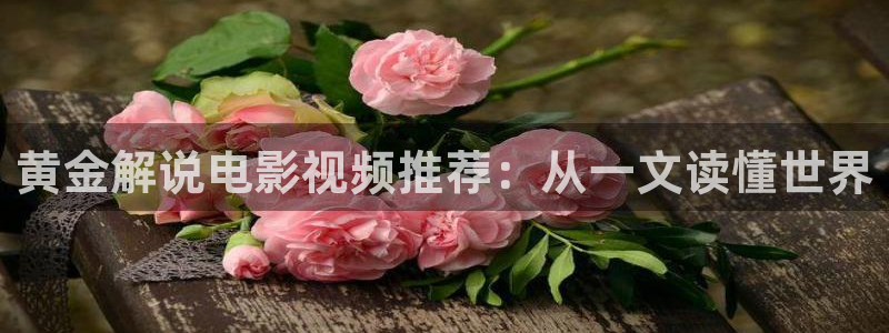 星辰影院在线观看全集免费高清视频