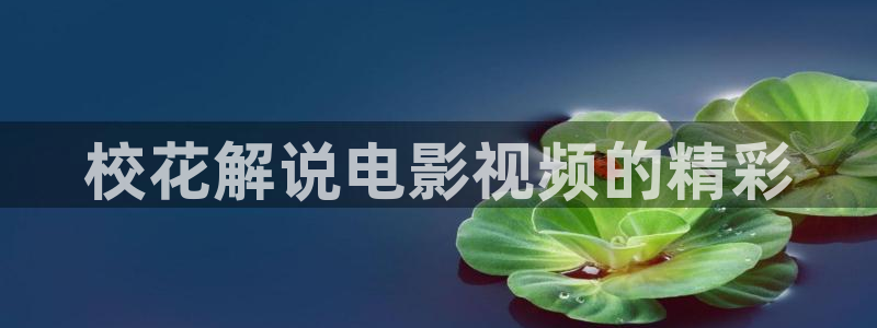 山河令在线观看免费观看完整版 星辰影视