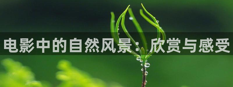 电影在线观看星辰