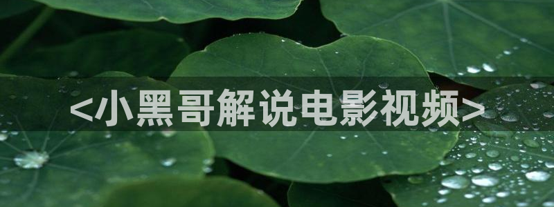 追风者免费观看星辰影院