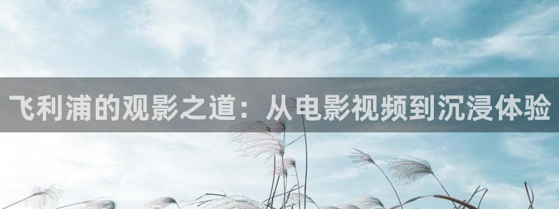 星辰影院电影完整版在线免费观看