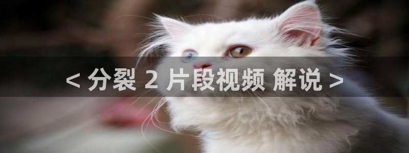 我的后半生电视剧全集免费播放高清星辰影院