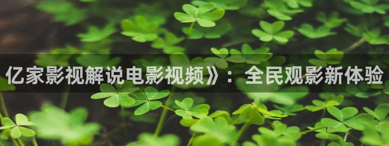 天才基本法星辰影院免费观看