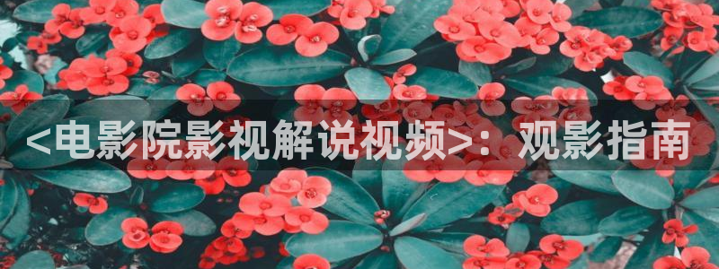 新闻图片