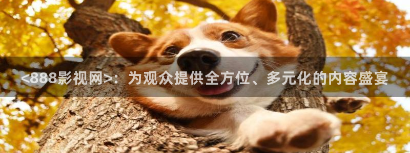 星辰私人影院