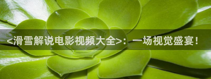 星辰影院最新最全电视剧免费播放