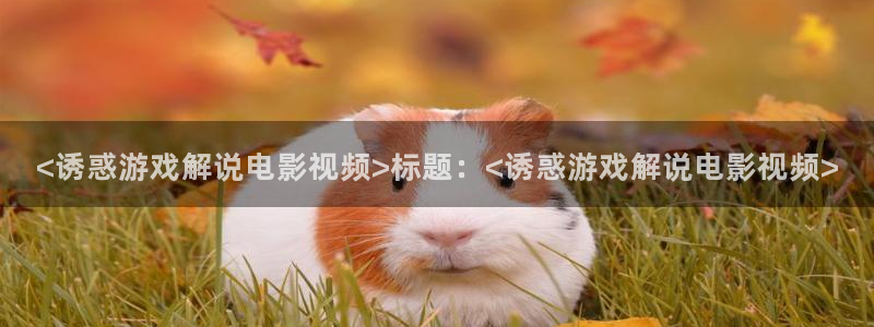 星辰视频在线观看免费完整版电影