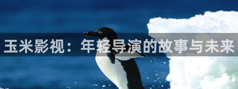 花容月貌星辰影院